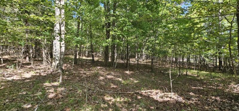 Lot 327 2 Lake Trail Dunlap, TN 37327 - Photo 10 of 13 image000004