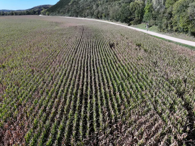 $450,000 | 34760 Fawn Drive, Lanesboro, MN 55949