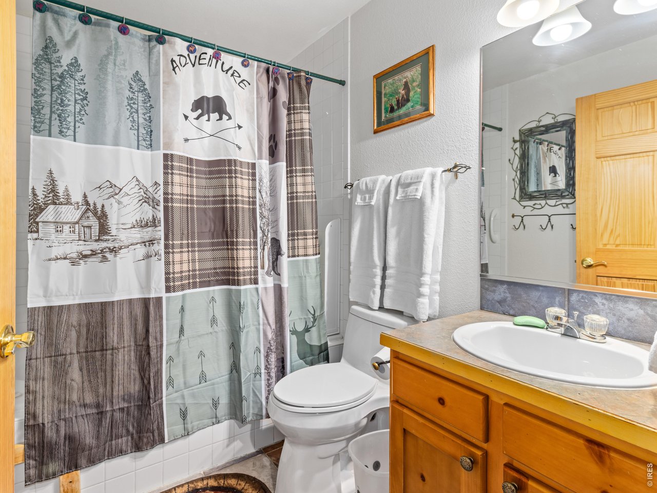 1516 Fish Hatchery Road, Unit 1 Estes Park, CO 80517 - Photo 16 of 27
