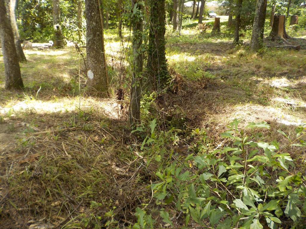 206 National Road Dothan, AL 36301 - Photo 33 of 35