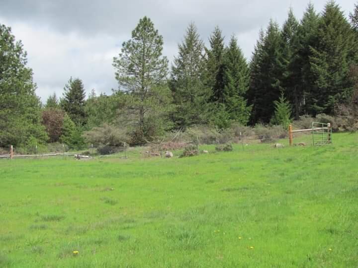 150 Rattlesnake Road Glendale, OR 97442 - Photo 4 of 67 View coming in in the springtime