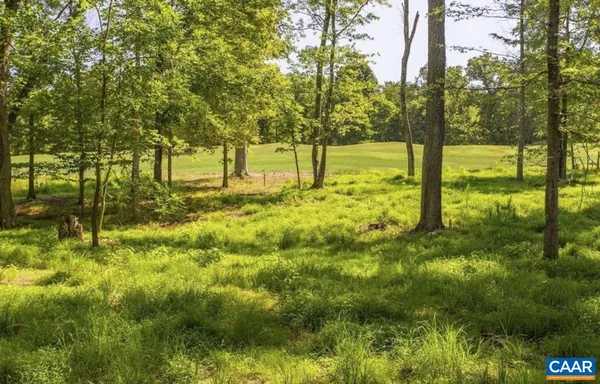 a view of yard with trees