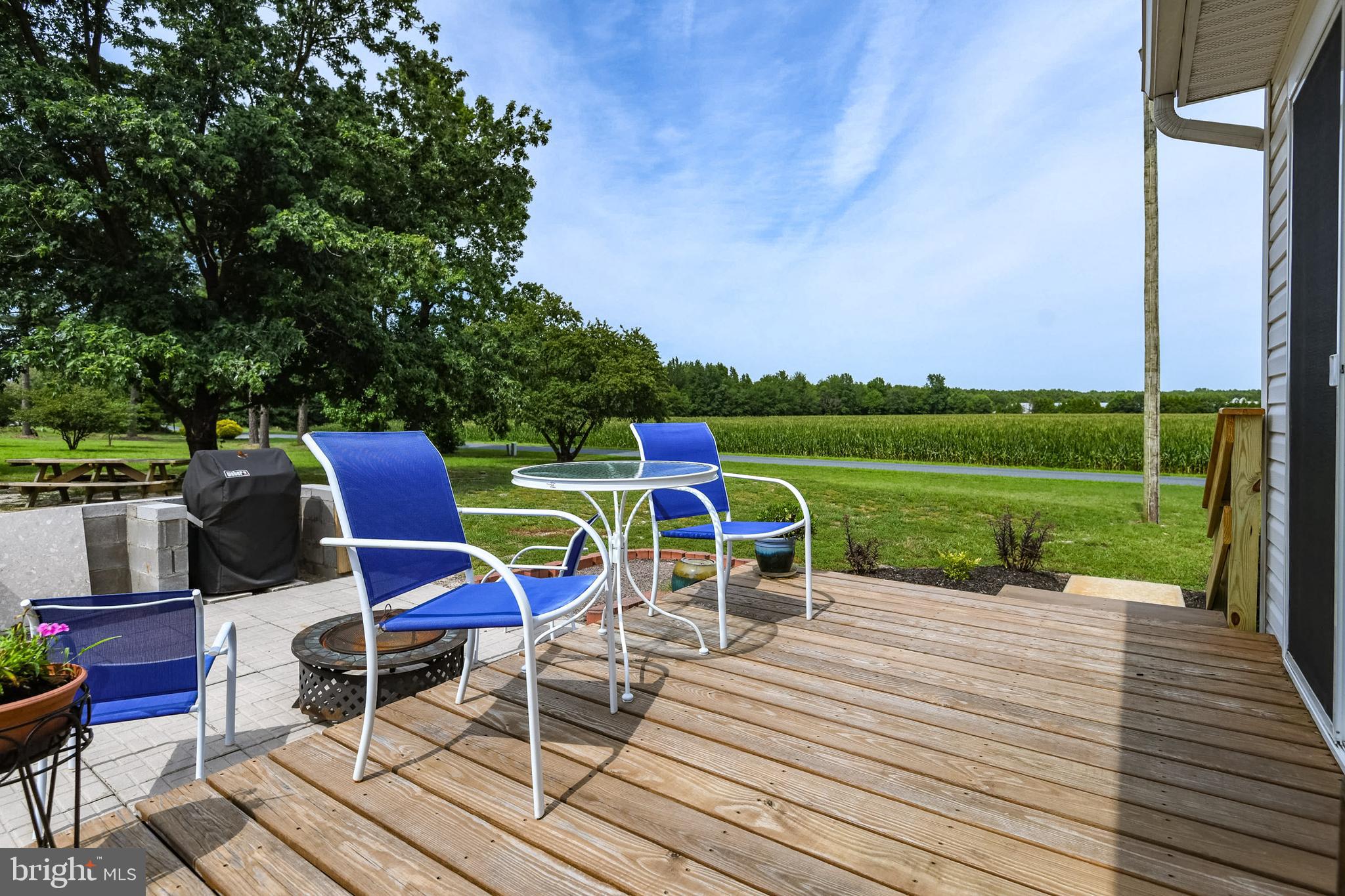 Back deck overlooking the yard