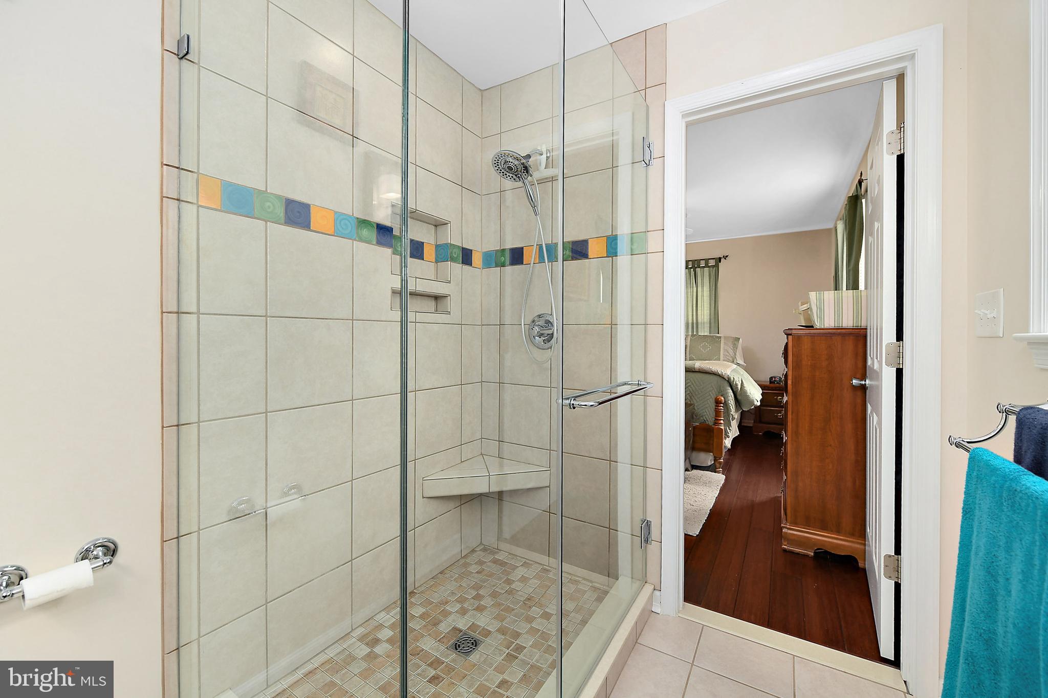 36062 Cobbs Hill Road Willards, MD 21874 - Photo 19 of 43 Master bathroom with glass shower