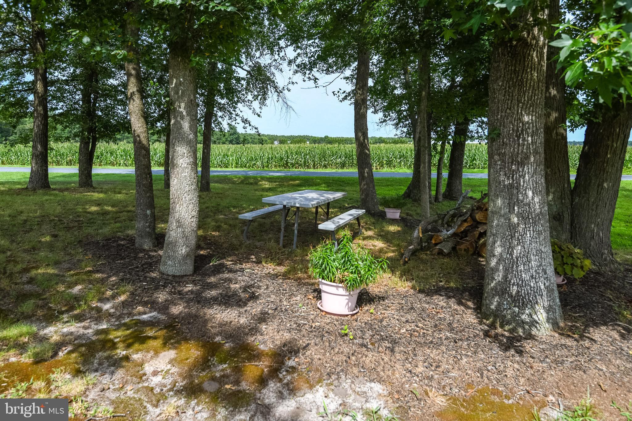 36062 Cobbs Hill Road Willards, MD 21874 - Photo 28 of 43 Picnic area with mature trees
