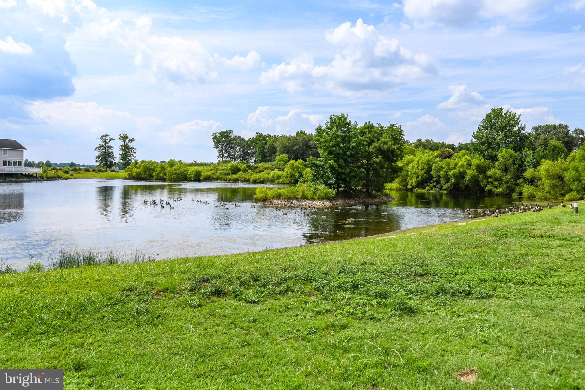 36062 Cobbs Hill Road Willards, MD 21874 - Photo 29 of 43 Waterfront setting