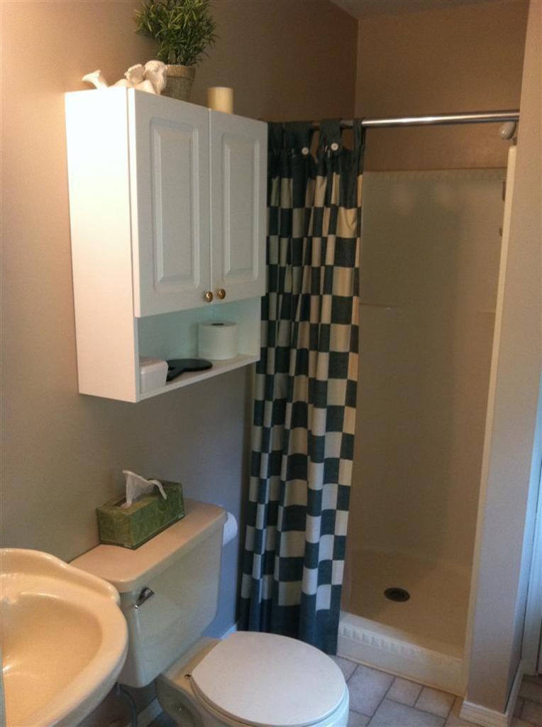 241 Spring Road Baroda, MI 49101 - Photo 15 of 23 Additional Photo