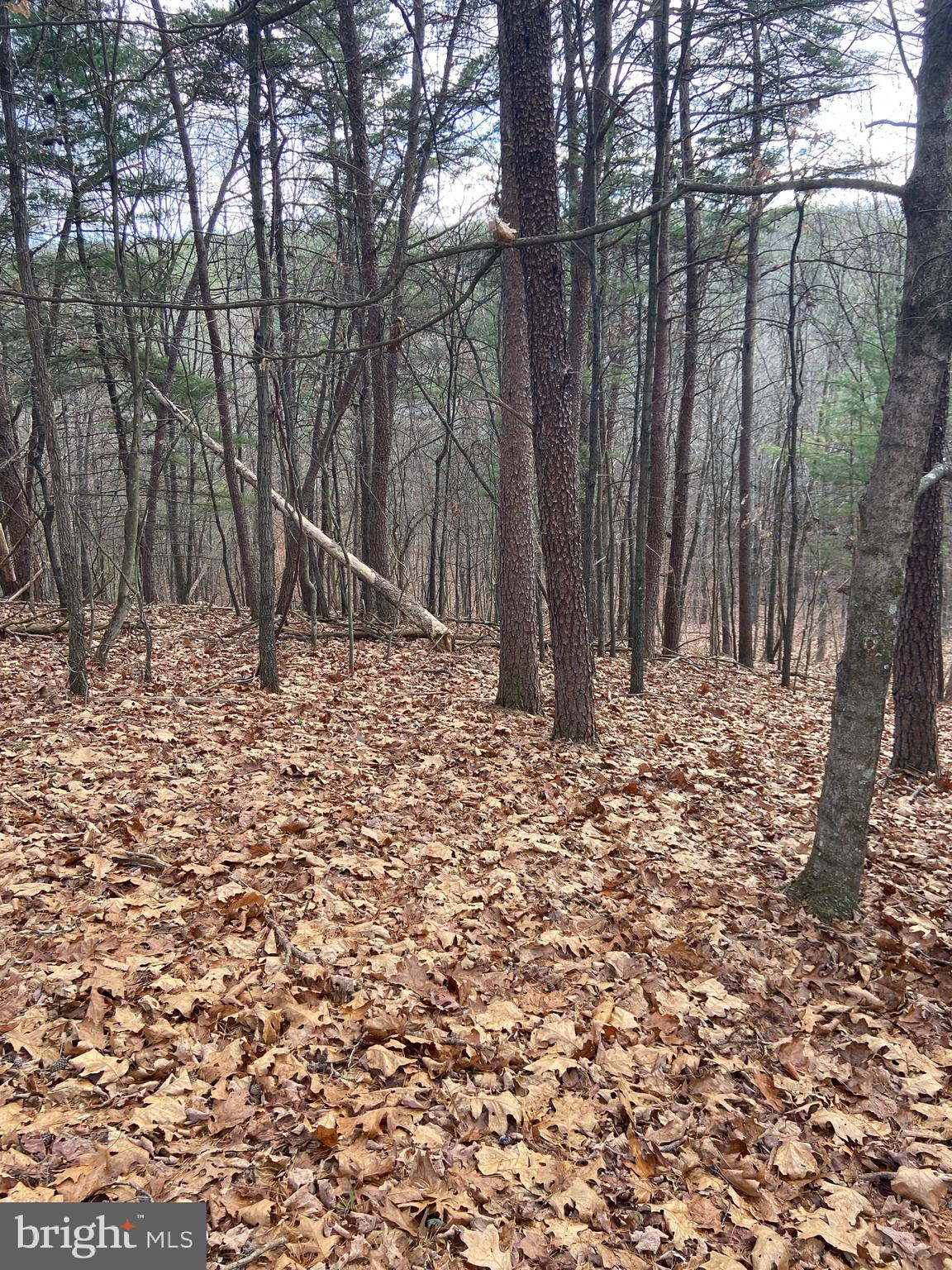 Lot#2 Crossover Road Northeast Flintstone, MD 21530 - Photo 3 of 5 Gallery Image 3