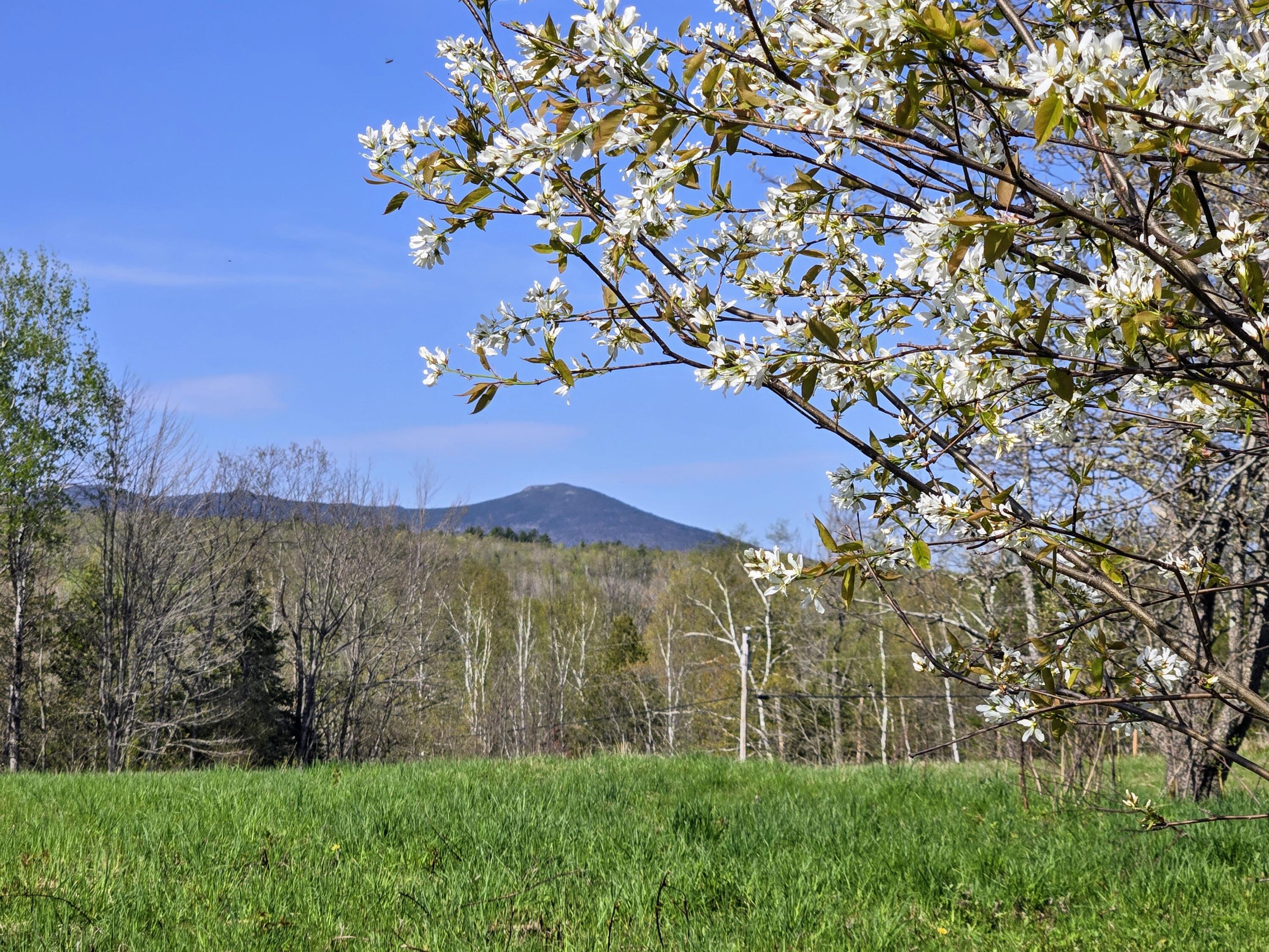 22 Bray Hill Road Phillips, ME 04966 - Photo 48 of 51 20250513_162355~2