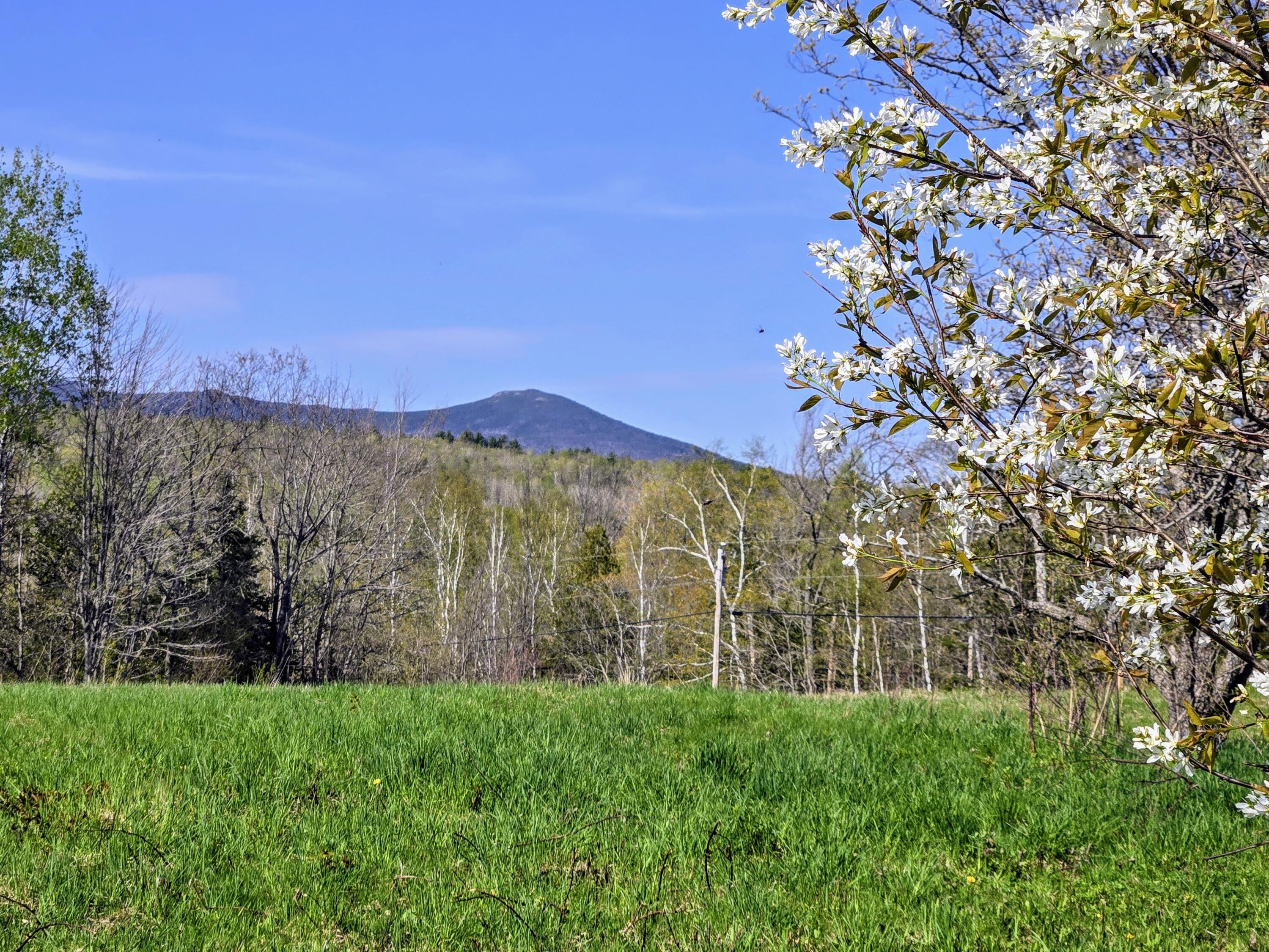 22 Bray Hill Road Phillips, ME 04966 - Photo 6 of 51 20250513_162337~3