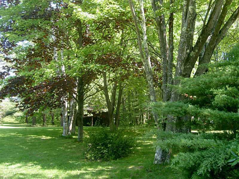 443 Gorham Road Scarborough, ME 04074 - Photo 4 of 21 Yard/Garden. Back yard is like...