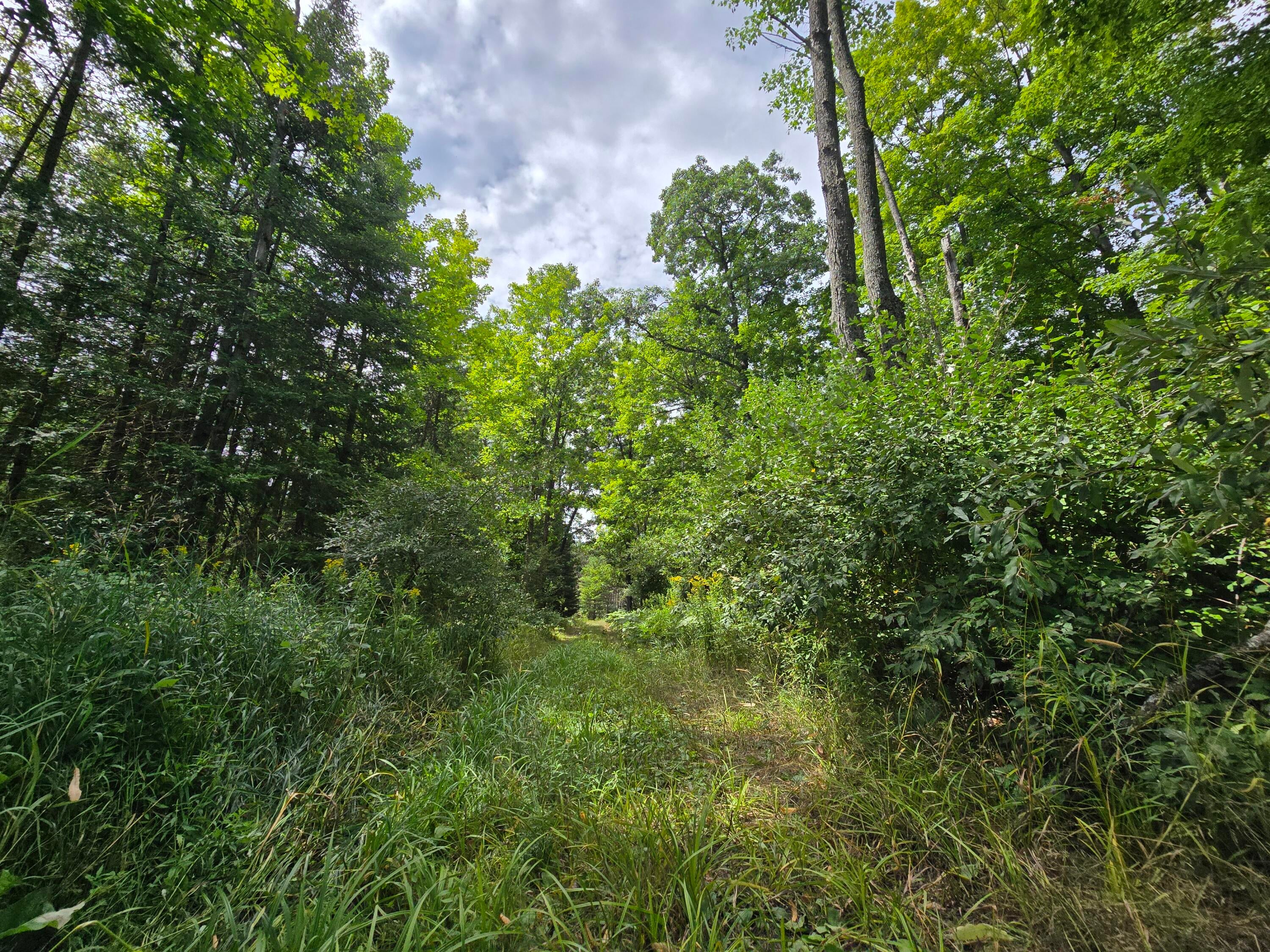 234 Schmid Road Fairview, MI 48621 - Photo 33 of 62 20250818_134410
