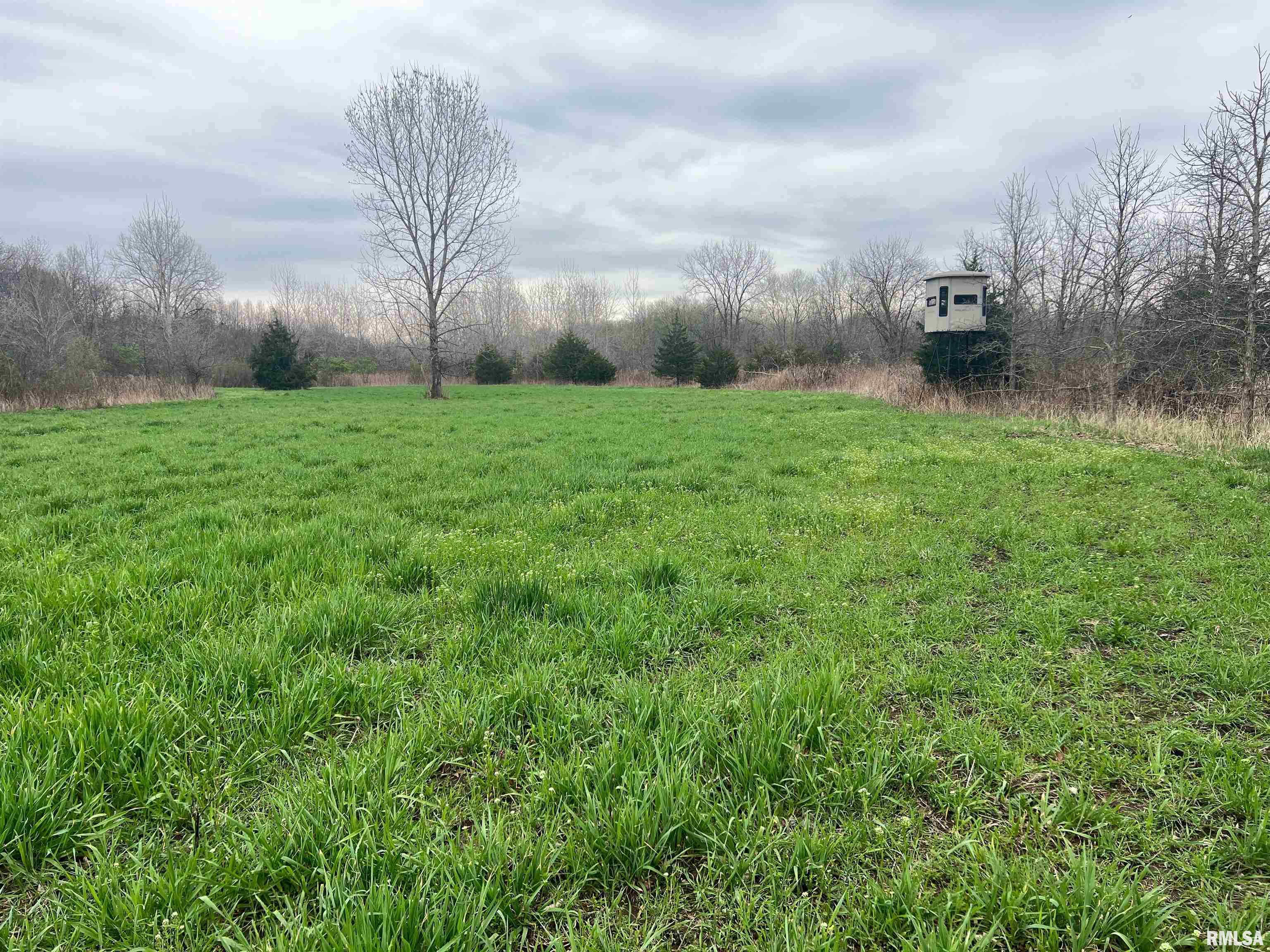 Rr Flower Creek Road Plymouth, IL 62367 - Photo 7 of 30