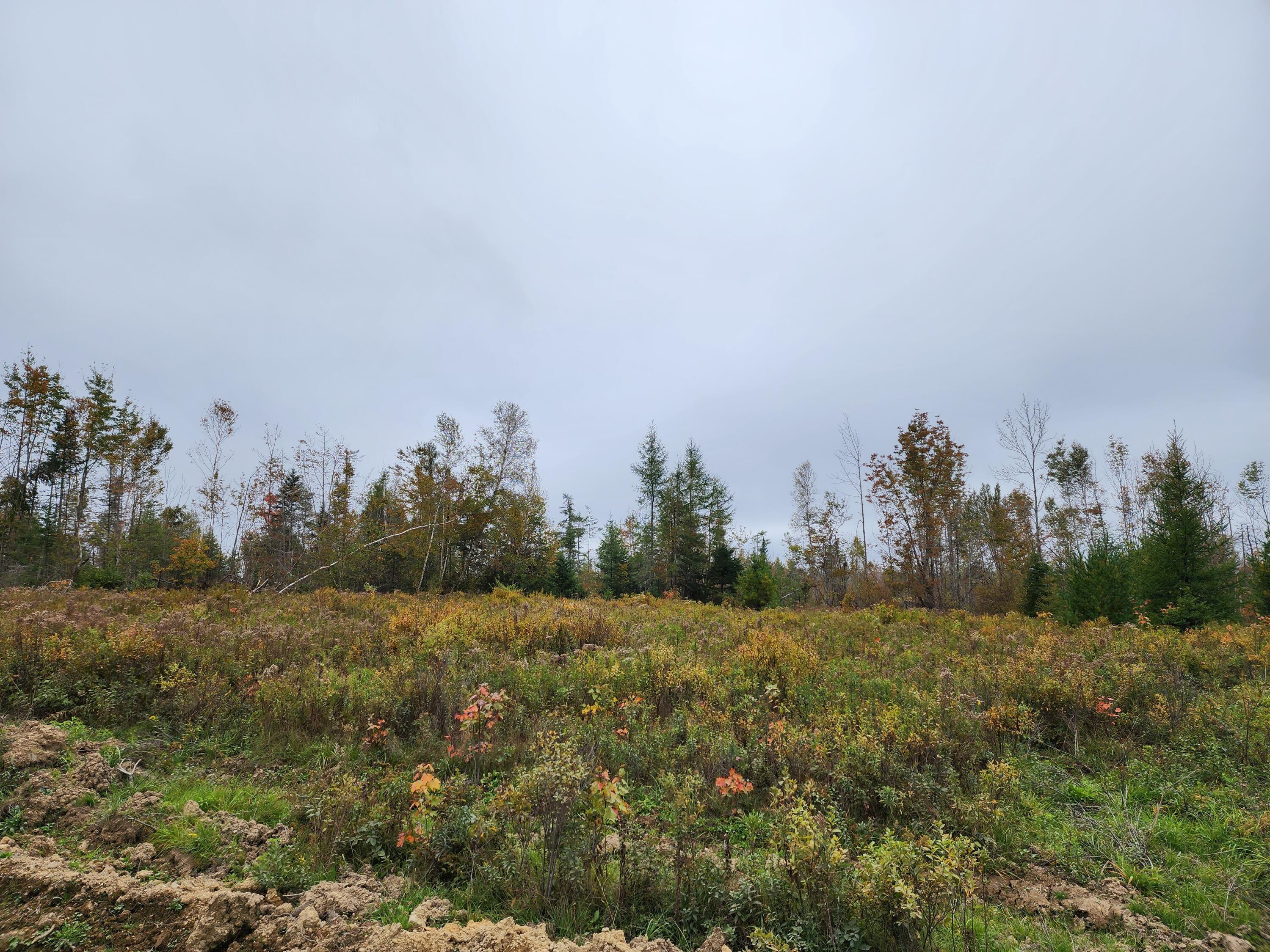 451-ac Smith Ridge Road Charlotte, ME 04666 - Photo 16 of 21 20231005_121104