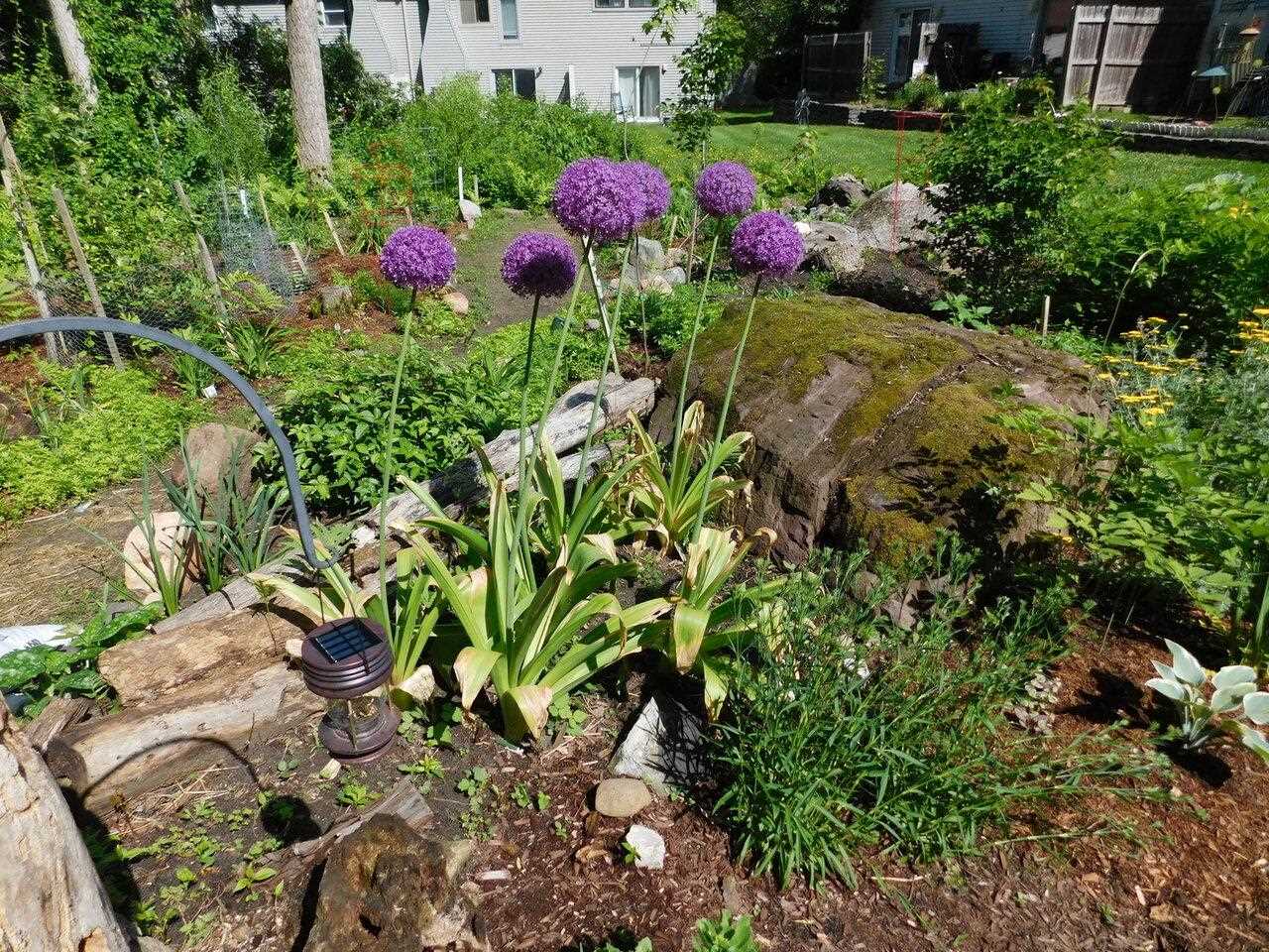 293 Locust Hill Road Shelburne, VT 05482 - Photo 35 of 39 Gallery Image 35