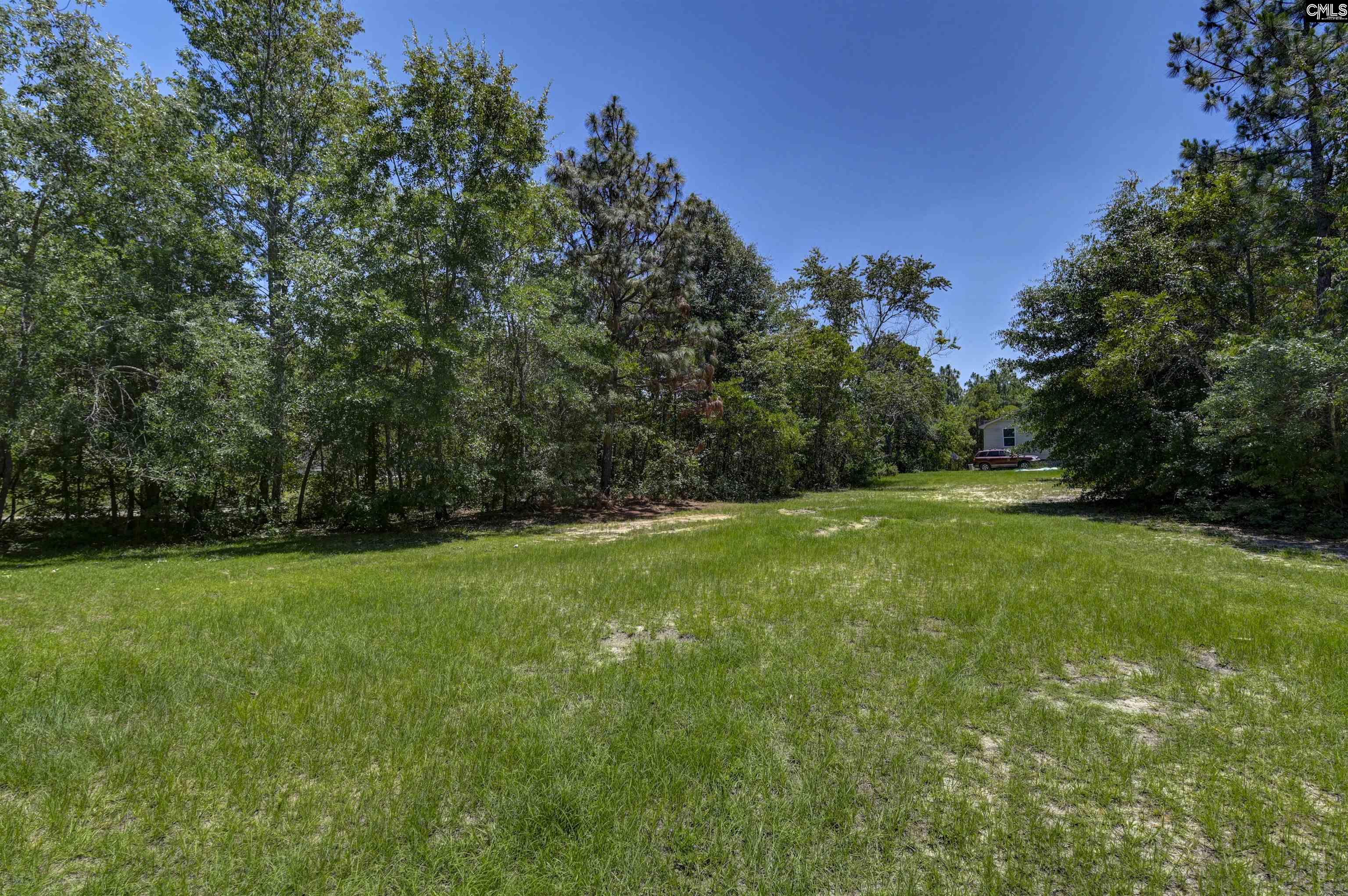 477 Bushberry Road Pelion, SC 29123 - Photo 2 of 34