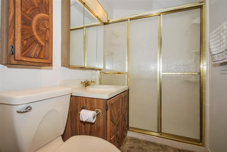 3491 Craig Road Ann Arbor, MI 48103 - Photo 22 of 27 Full bathroom
