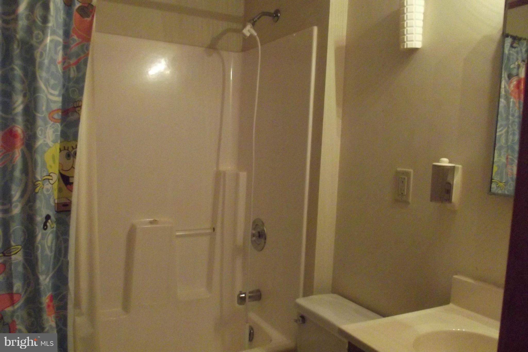 863 Pheasant Hill Road Summit Point, WV 25446 - Photo 14 of 29 a bathroom with a shower and a toilet