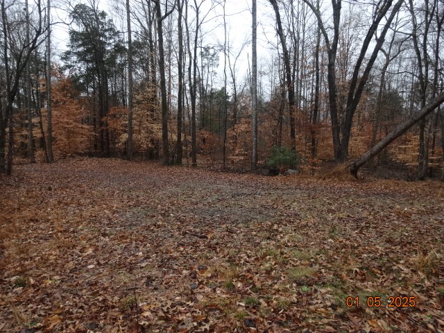 1882 Jordan Road Chapmansboro, TN 37035 - Photo 11 of 13 a view of a yard with trees
