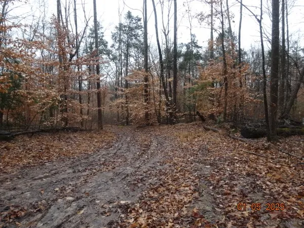 $1,800 | 1882 Jordan Road, Chapmansboro, TN 37035