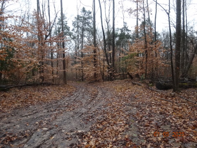 1882 Jordan Road Chapmansboro, TN 37035 - Photo 12 of 13 a view of outdoor space and yard