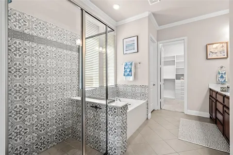 a bathroom with a tub shower and sink