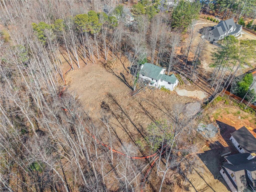 16520 Hopewell Road Alpharetta, GA 30004 - Photo 4 of 6 a view of tree