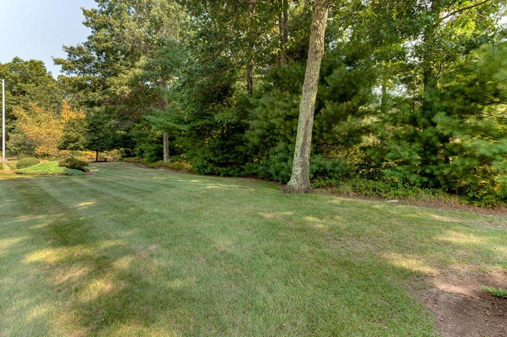 20 Indigo Farm Road North Smithfield, RI 02830 - Photo 4 of 30 a view of a trees with a yard