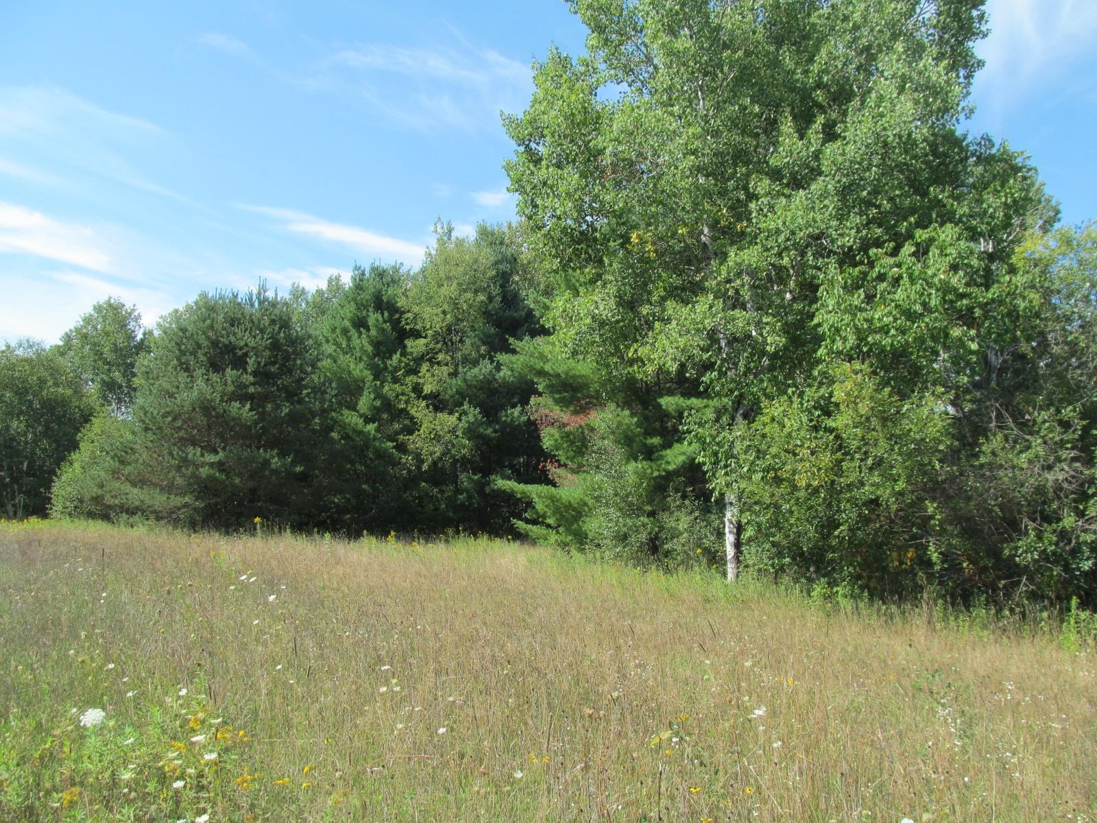 5981 North 41 1/2 Road Manton, MI 49663 - Photo 65 of 69