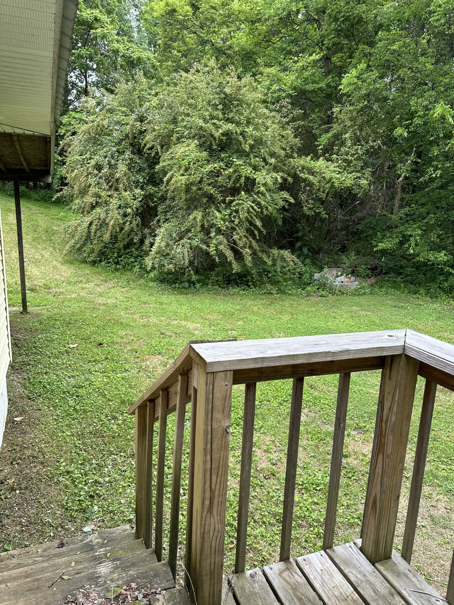 69 Hasty Hollow Road Lynchburg, TN 37352 - Photo 6 of 21 a view of balcony with deck