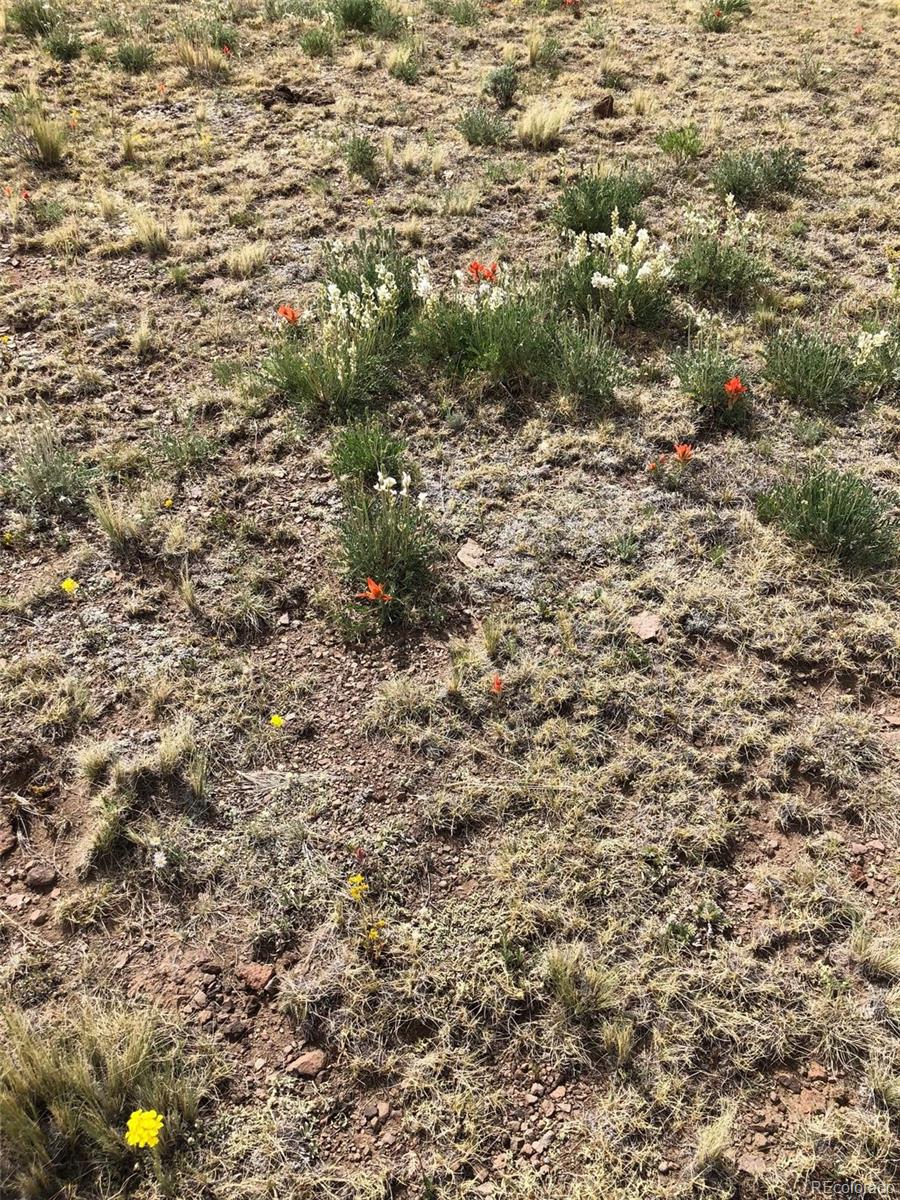 4663 Seneca Road Hartsel, CO 80449 - Photo 21 of 25 a view of a field