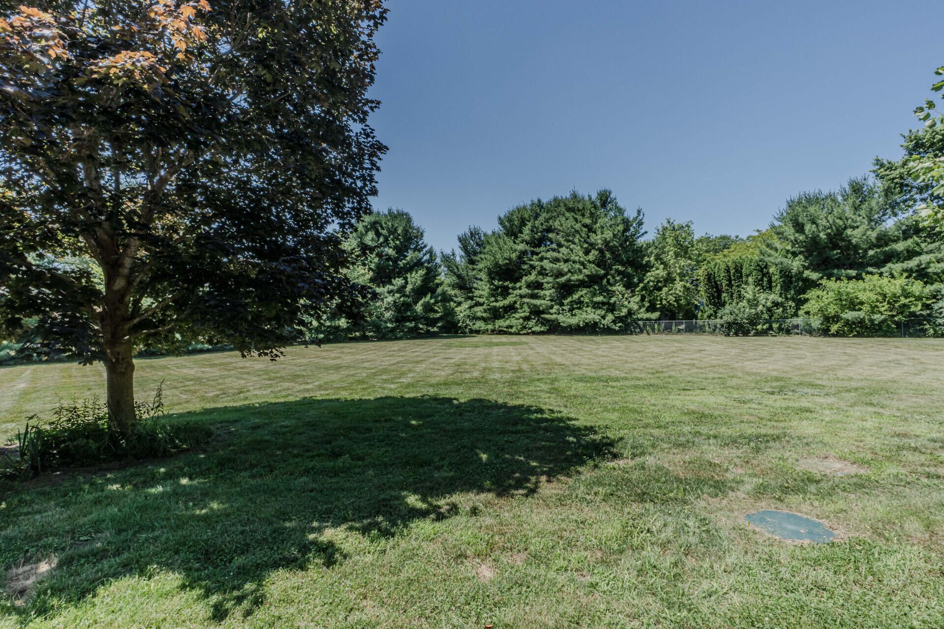 7532 Dell Road Saline, MI 48176 - Photo 73 of 81 72