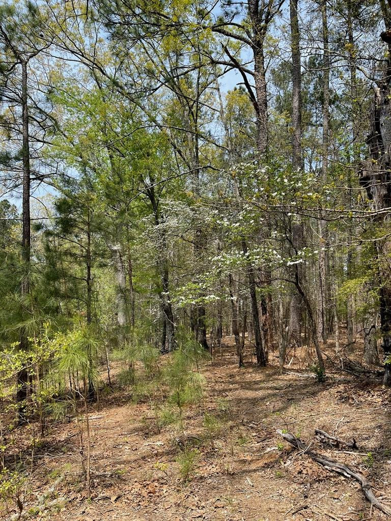 0 Banks Mill Road Southeast North Augusta, SC 29860 - Photo 10 of 11