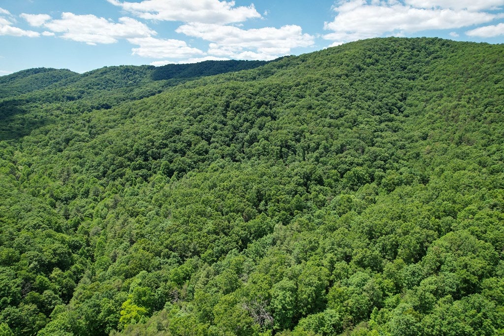 Tbd Pleasantview Road, Unit 72 Austinville, VA 24312 - Photo 31 of 63 Gallery Image 31