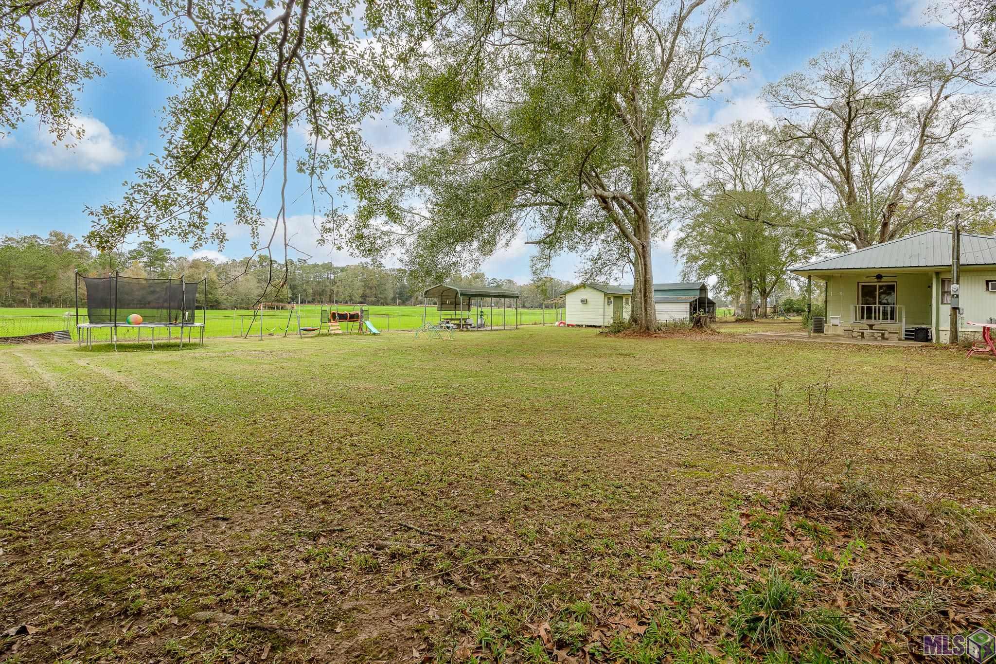 16481 Kinchen Road Livingston, LA 70754 - Photo 21 of 25 Backyard