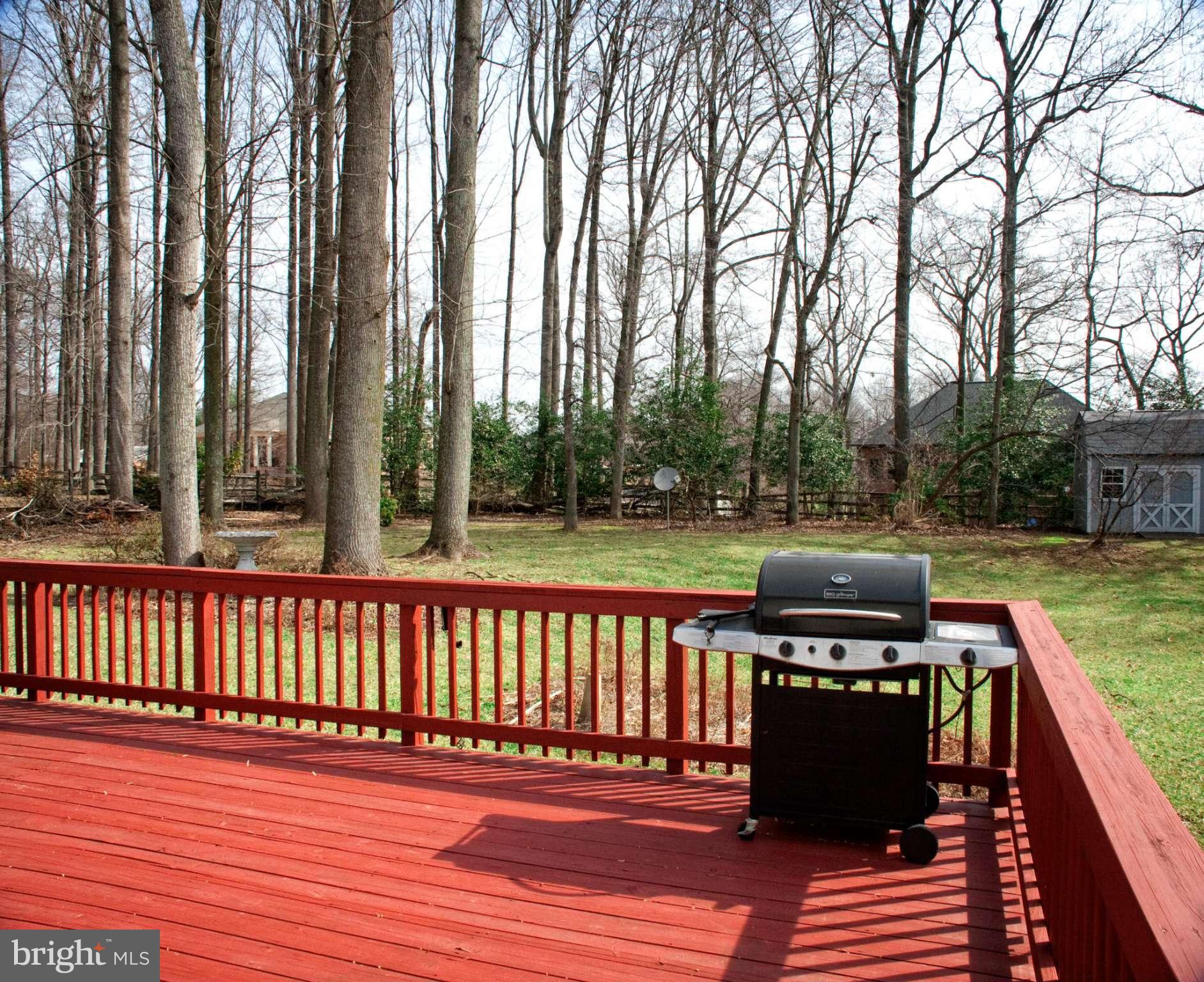 11115 Loran Road Great Falls, VA 22066 - Photo 22 of 30 Exterior (Rear)