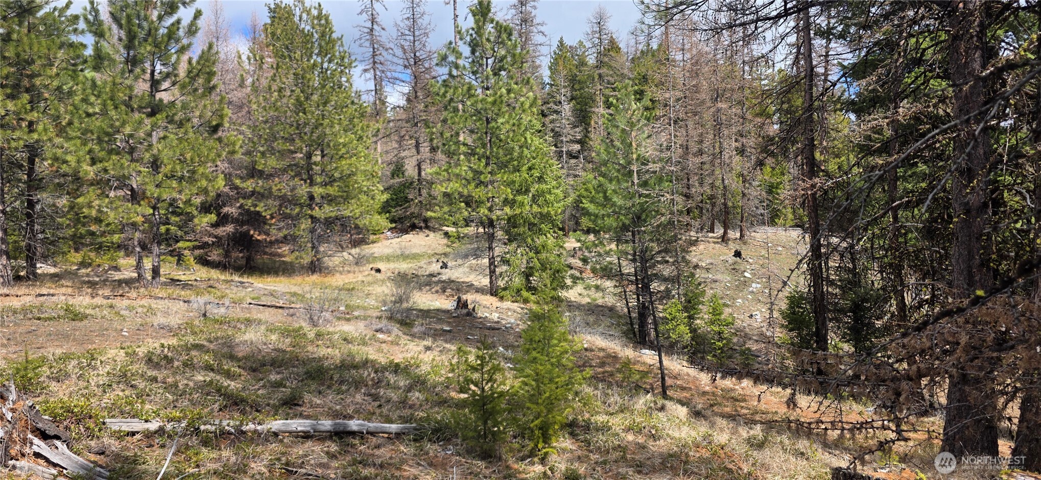 1111 Tbd Bandtman Road Tonasket, WA 98855 - Photo 15 of 22 Gallery Image 15