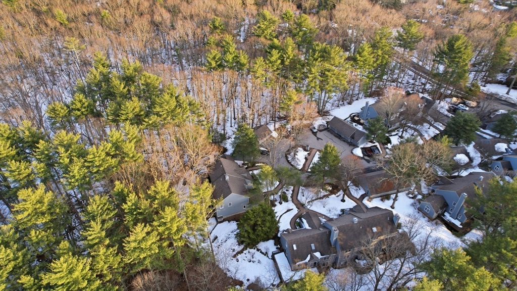 18 Quail Run, Unit 18 Acton, MA 01720 - Photo 19 of 23 a picture of tree