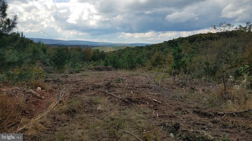Duckwall Road Berkeley Springs, WV 25411 - Photo 1 of 2