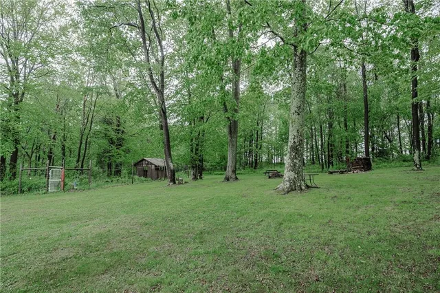 a view of entertaining space with a tree