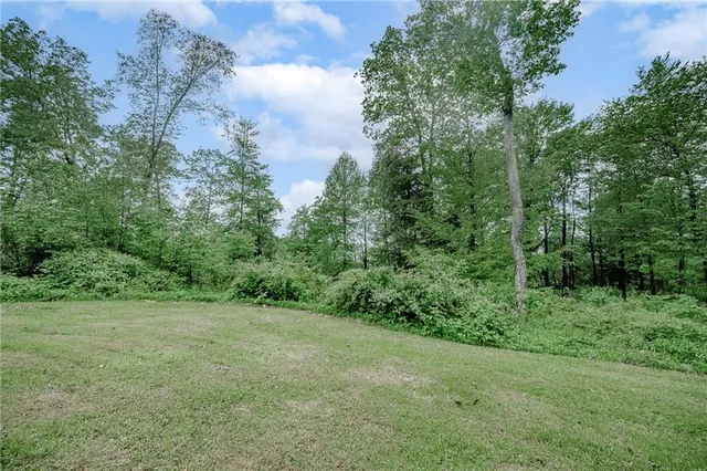 a view of a lush green forest with lots of trees