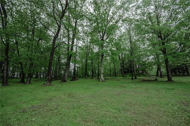 a grassy field with trees in the background