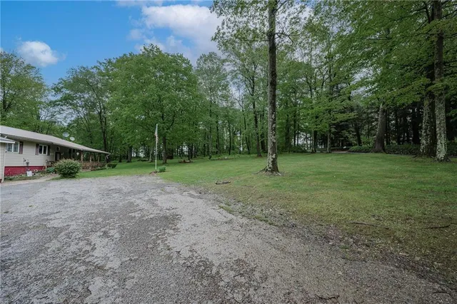 a view of a trees in a park