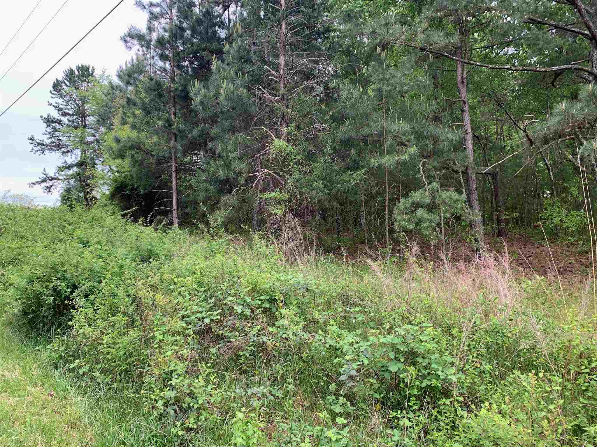 Lot 21 Susans Road Gaffney, SC 29341 - Photo 2 of 2