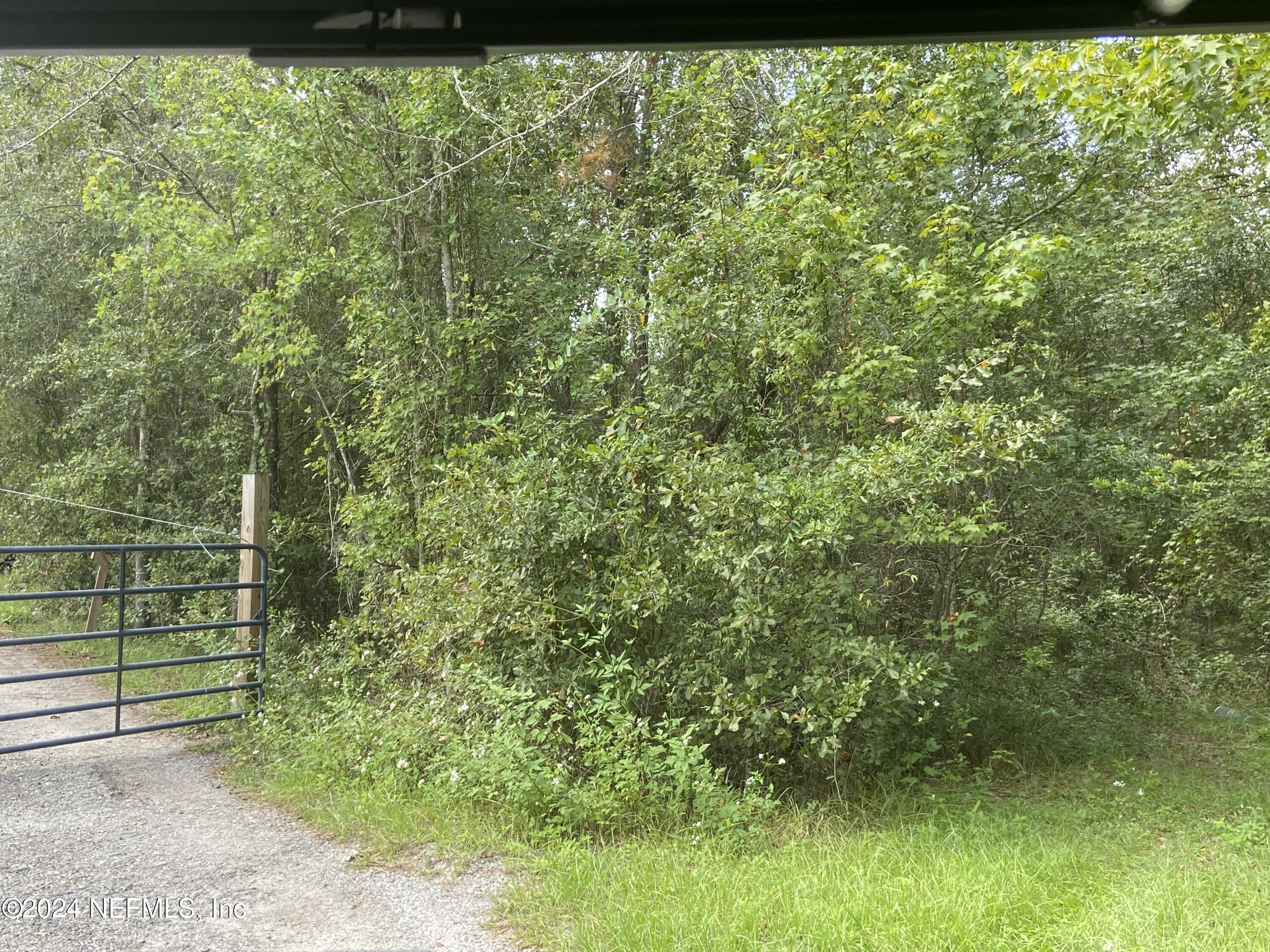 3439 Power Line Road Middleburg, FL 32068 - Photo 4 of 11 a view of a yard with plants and a bench