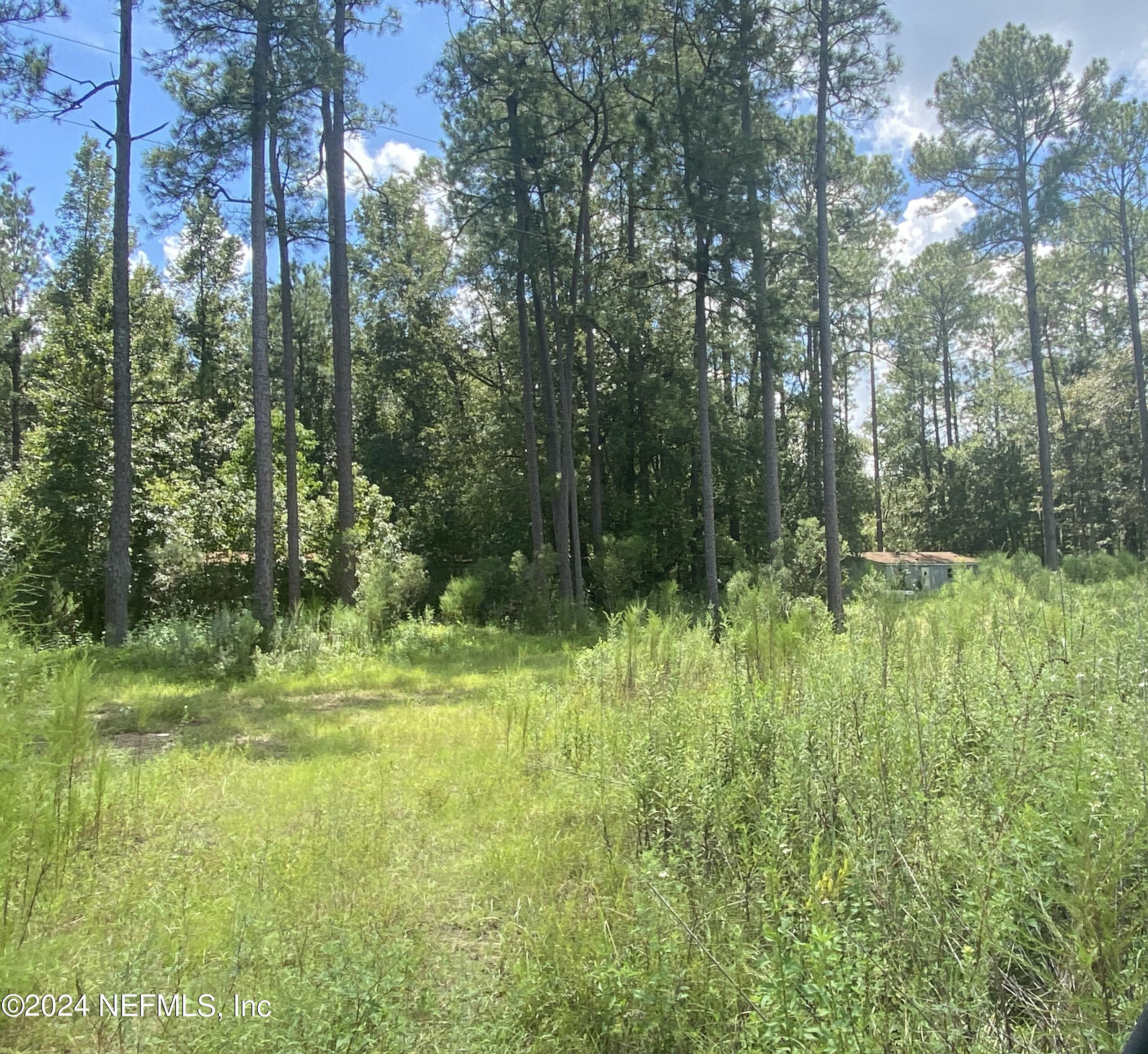 3439 Power Line Road Middleburg, FL 32068 - Photo 5 of 11 a view of outdoor space and yard