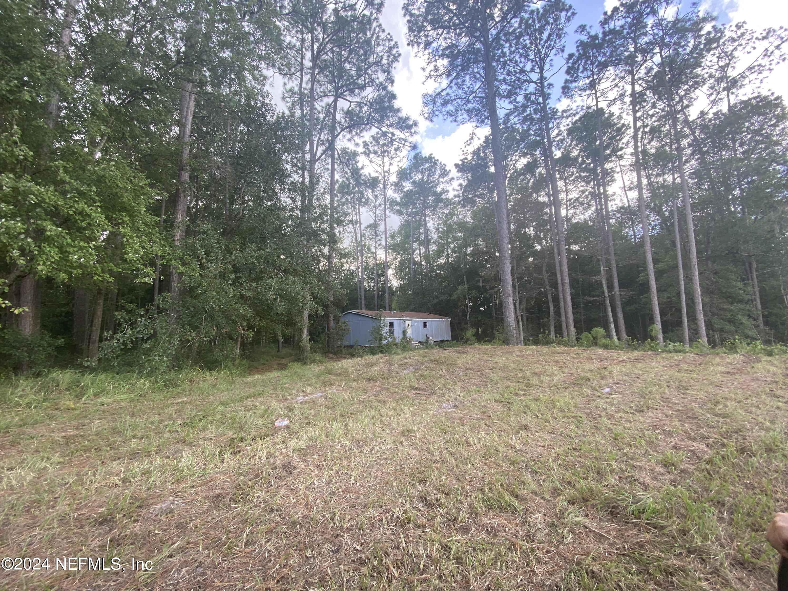 3439 Power Line Road Middleburg, FL 32068 - Photo 6 of 11 a house with trees in front of it