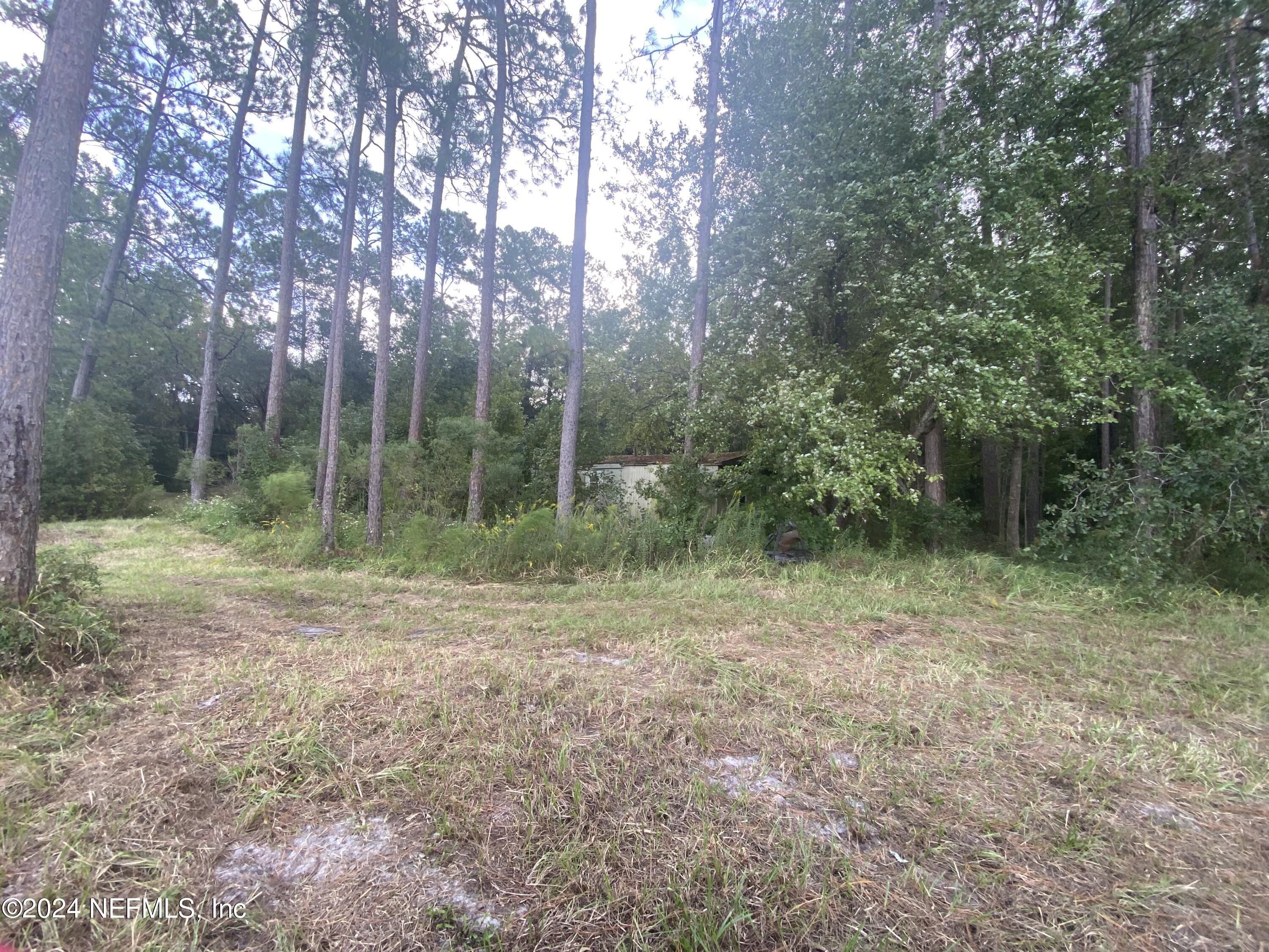 3439 Power Line Road Middleburg, FL 32068 - Photo 7 of 11 a view of a forest with trees in the background