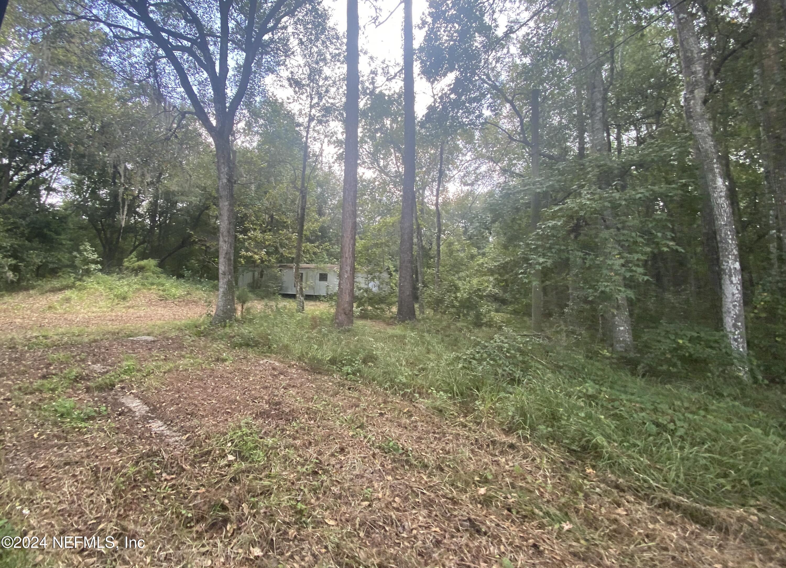 3439 Power Line Road Middleburg, FL 32068 - Photo 8 of 11 a view of a forest with trees in the background