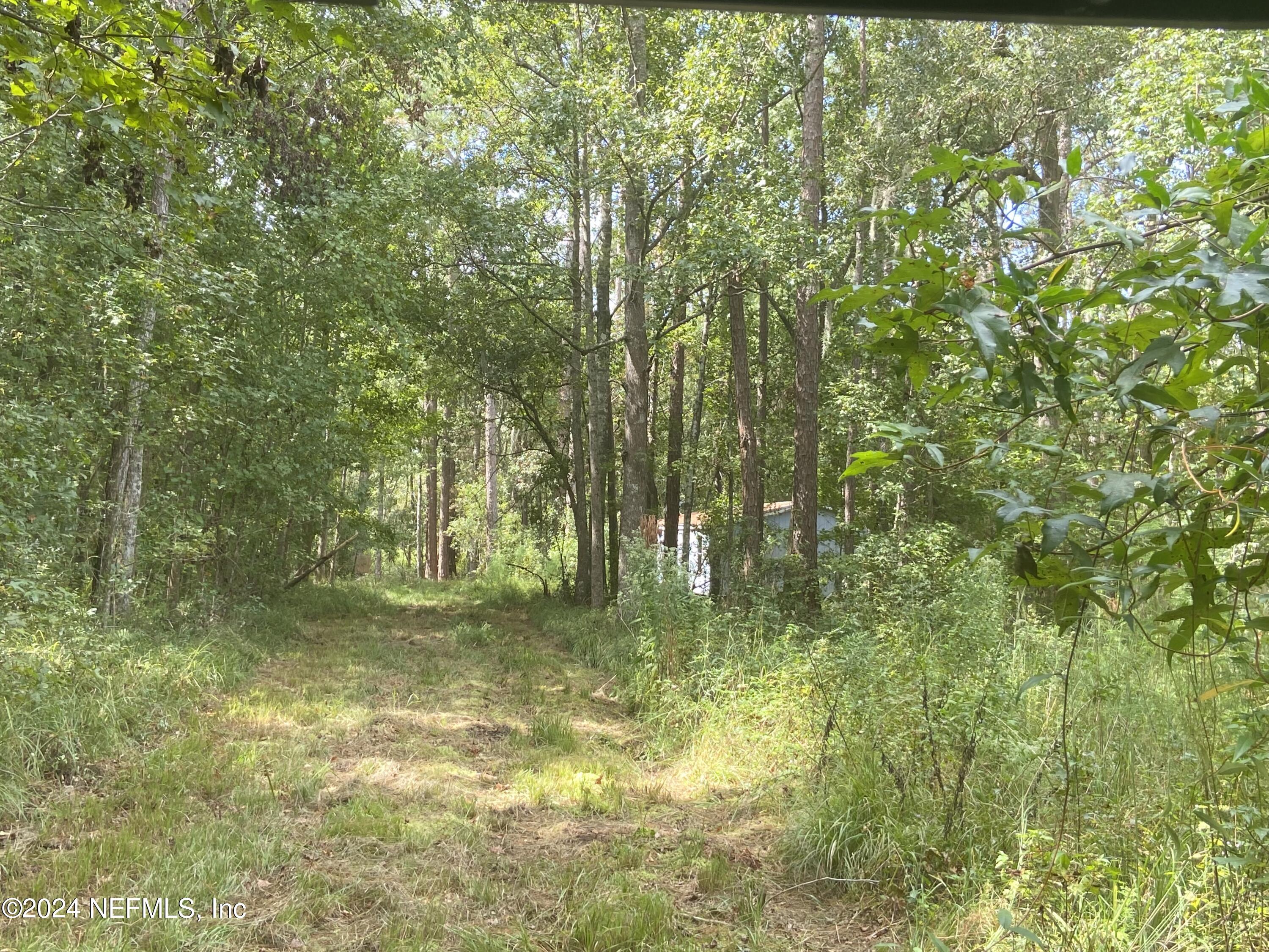 3439 Power Line Road Middleburg, FL 32068 - Photo 9 of 11 a backyard of a house with lots of green space